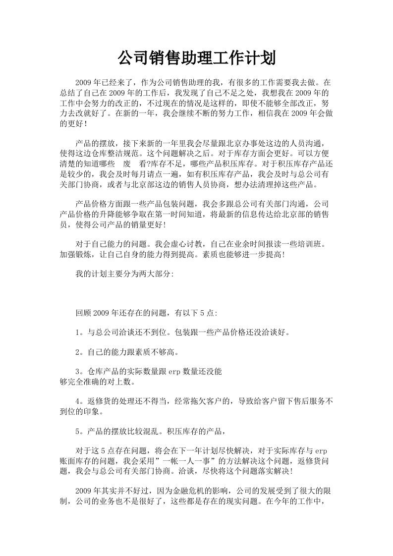 公司销售助理工作计划