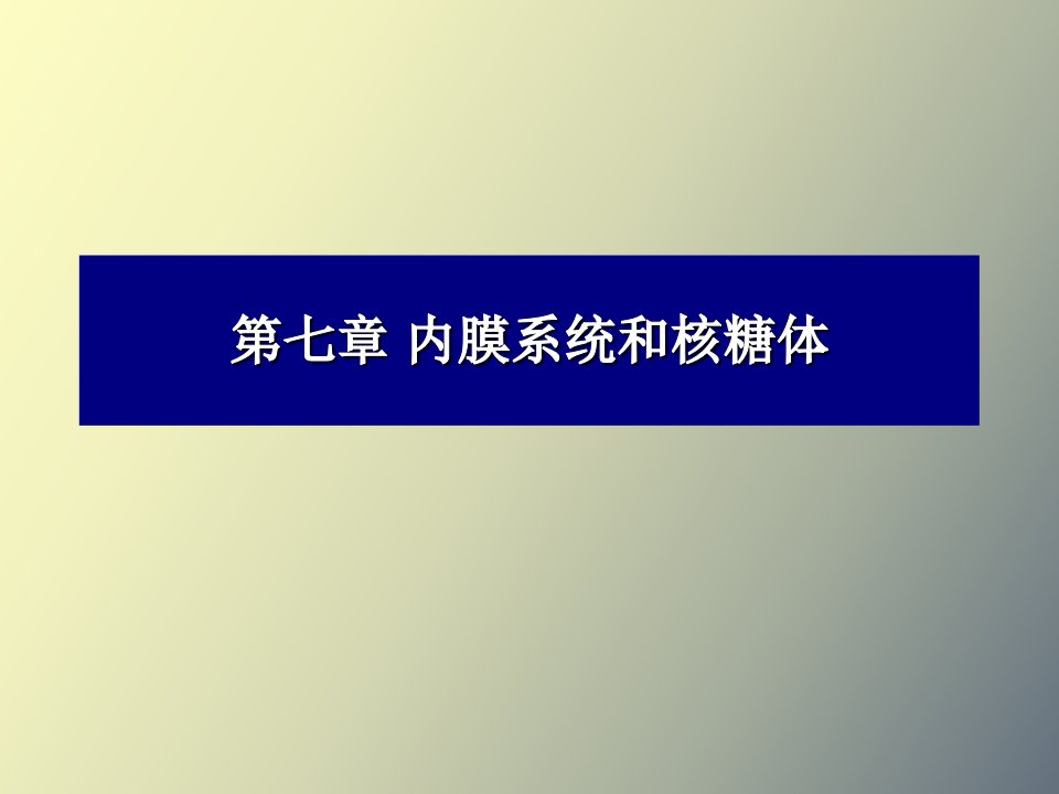 内膜系统和核糖体