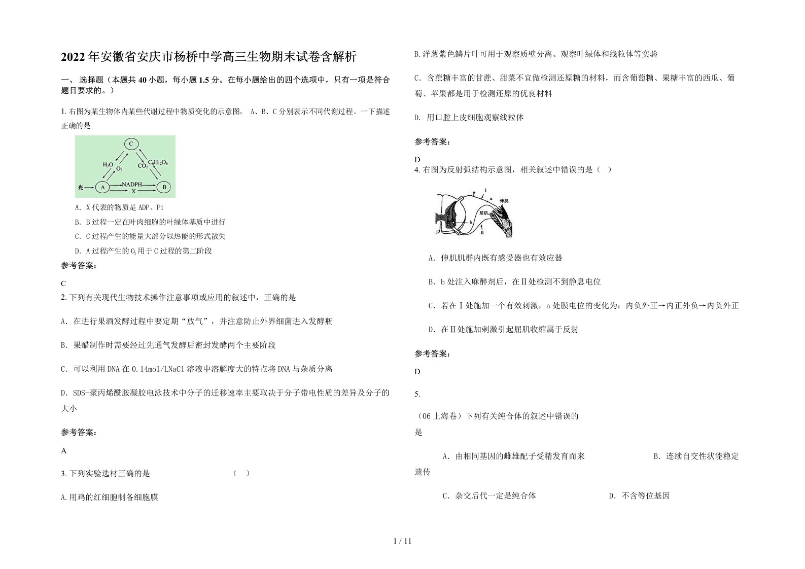 2022年安徽省安庆市杨桥中学高三生物期末试卷含解析