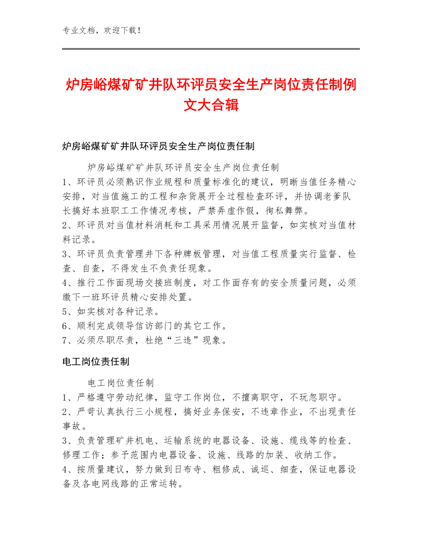 炉房峪煤矿矿井队环评员安全生产岗位责任制例文大合辑