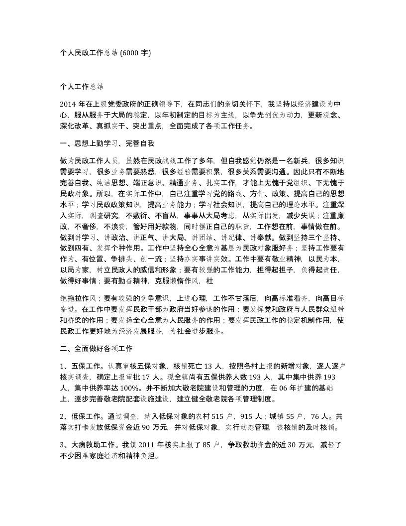 个人民政工作总结6000字