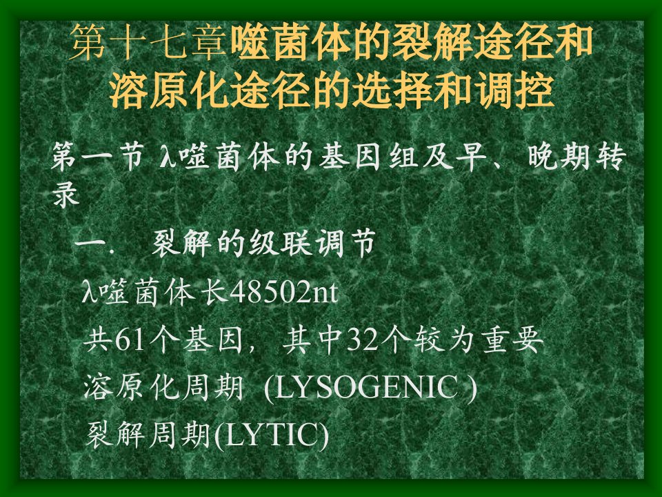 第十七章噬菌体的裂解途径和溶原化途径的选择和调控名师编辑PPT课件