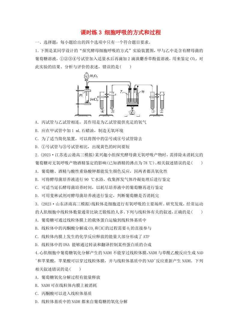 鲁湘辽新教材2024届高考生物一轮复习练习第三单元细胞的能量供应和利用课时练3细胞呼吸的方式和过程