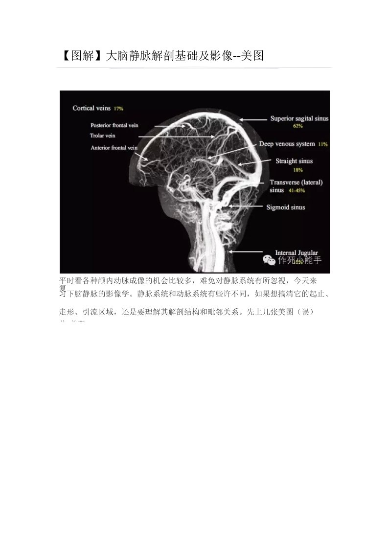 大脑静脉解剖基础及影像