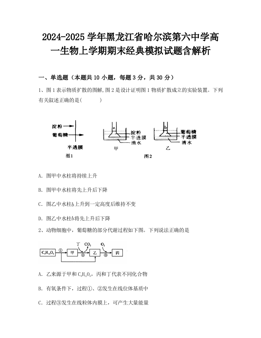 2024-2025学年黑龙江省哈尔滨第六中学高一生物上学期期末经典模拟试题含解析