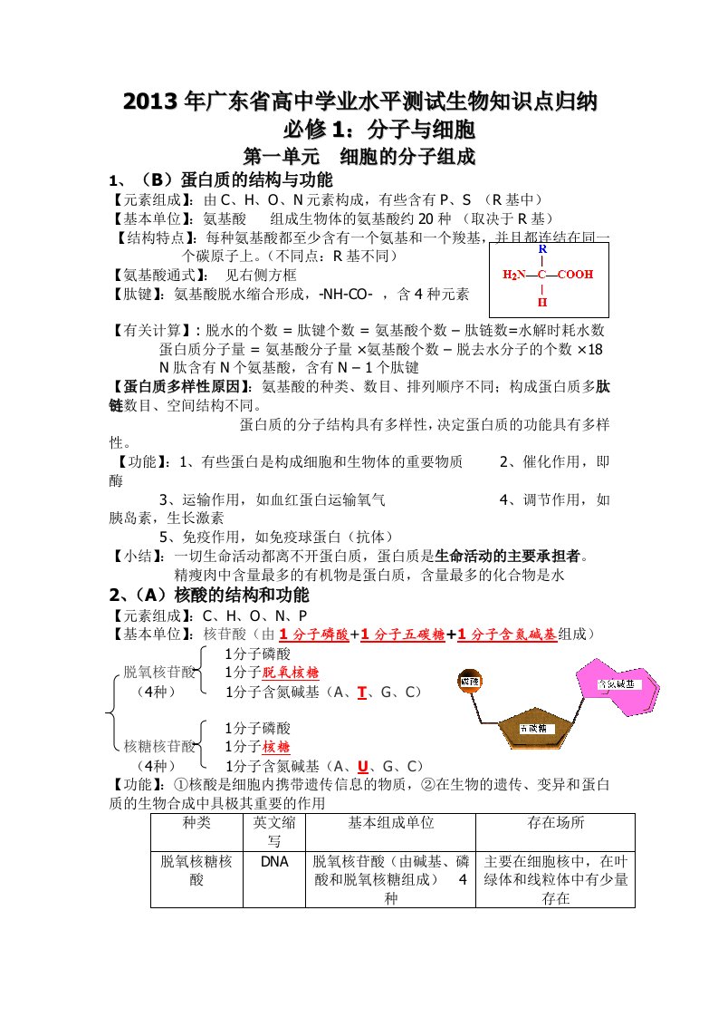 广东省高中学业水平测试生物知识点归纳(全面共28页)