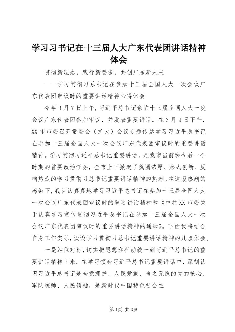 7学习习书记在十三届人大广东代表团致辞精神体会