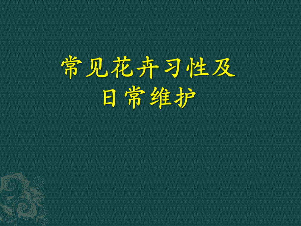 常见花卉习性和日常维护