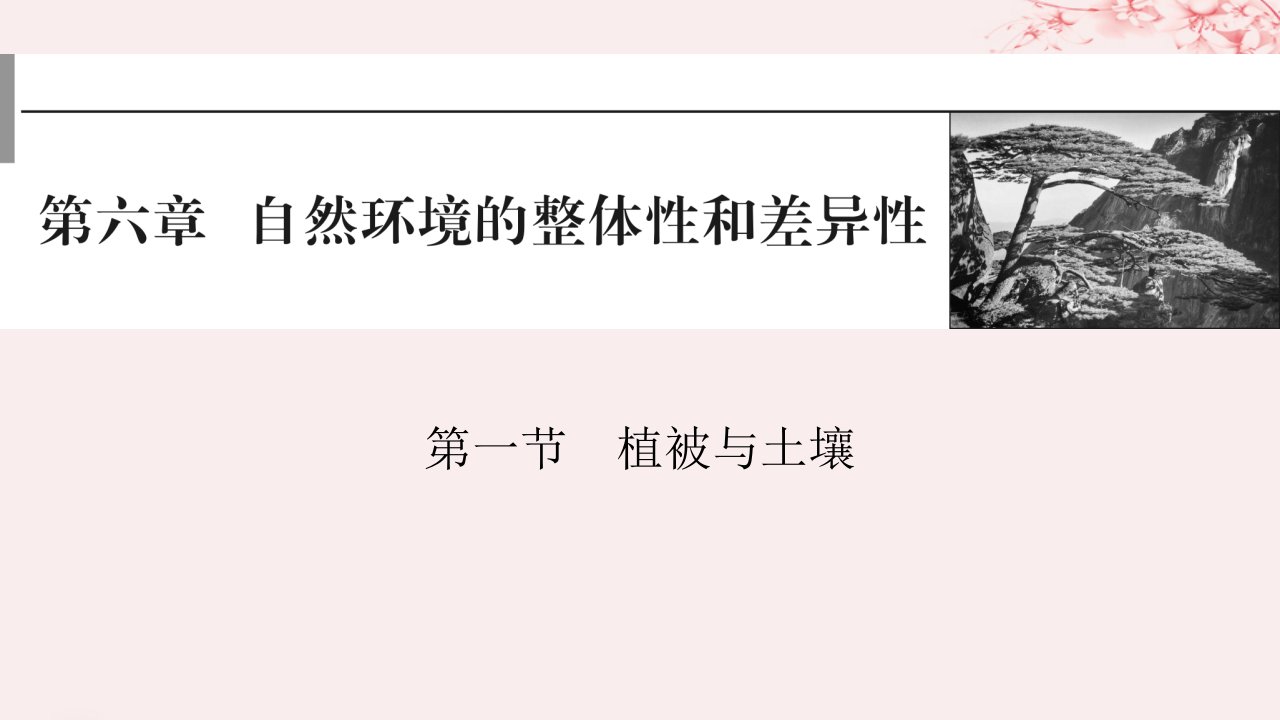 2024版高考地理一轮总复习第一部分自然地理第六章自然环境的整体性与差异性第一节植被与土壤课件