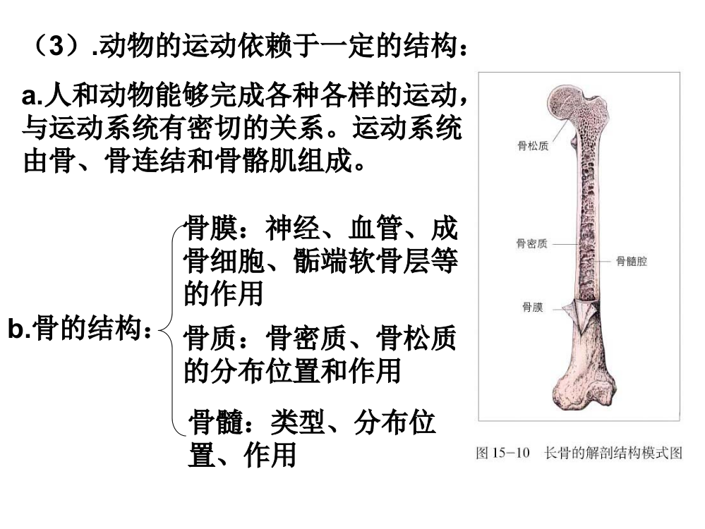 八级上册相关知识点