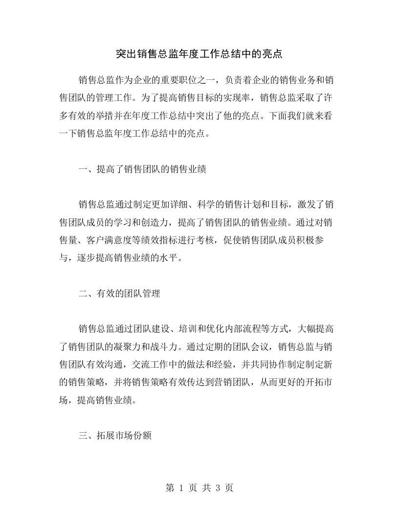 突出销售总监年度工作总结中的亮点