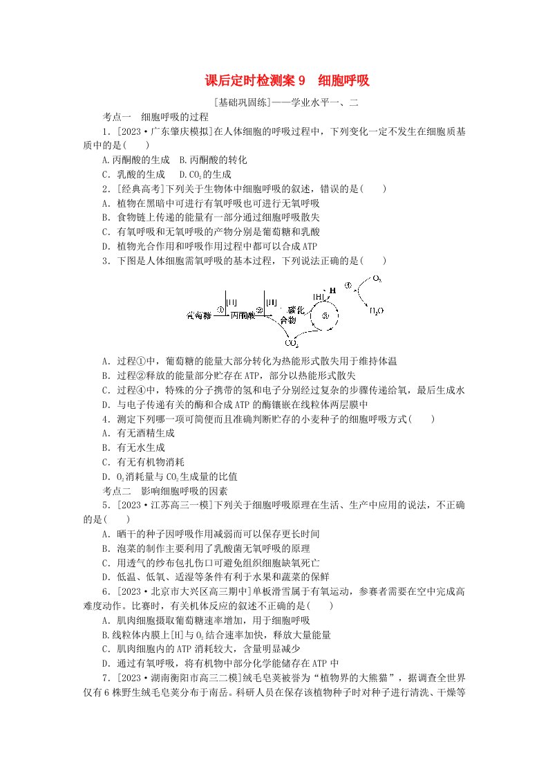 2024版新教材高考生物全程一轮总复习课后定时检测案9细胞呼吸