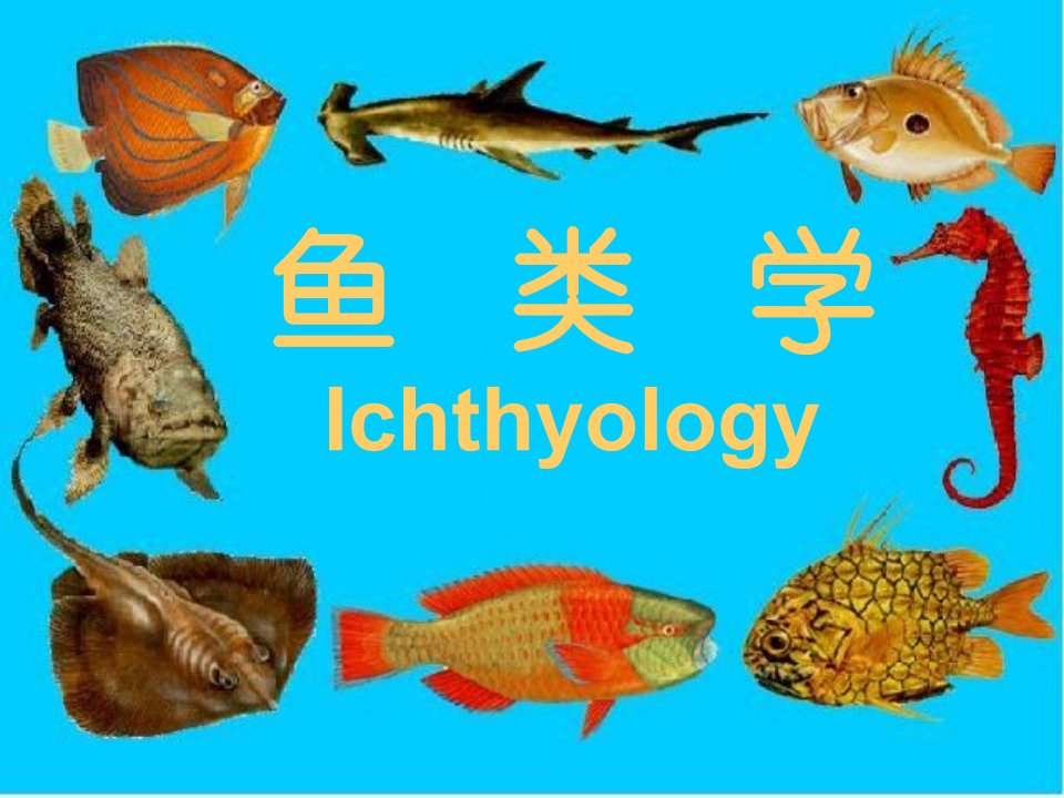 鱼类学Ichthyology