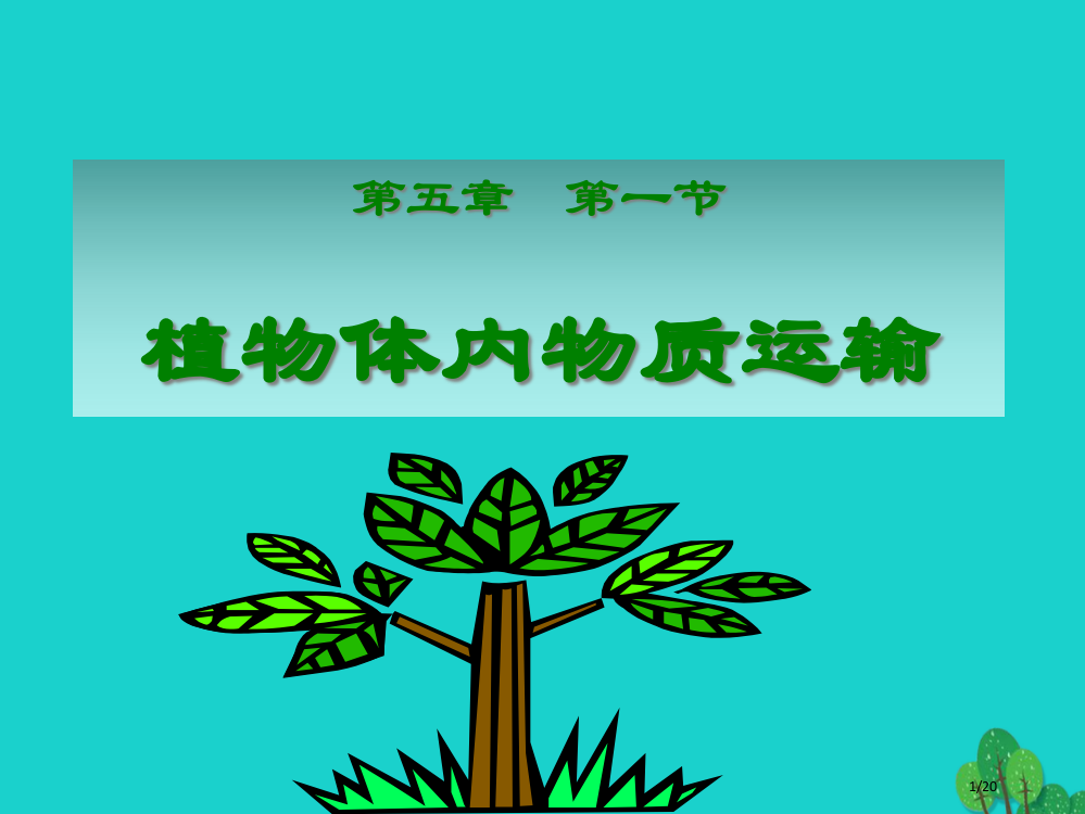 七年级生物下册第五章第一节植物体内的物质运输省公开课一等奖新名师优质课获奖PPT课件