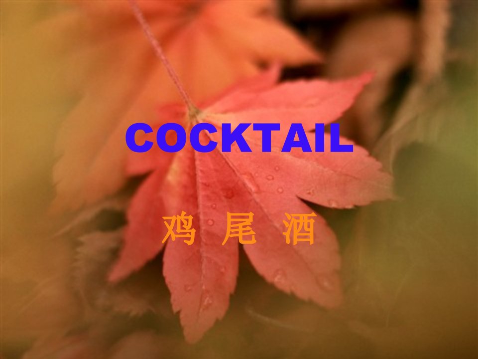 鸡尾酒酒吧酒类培训