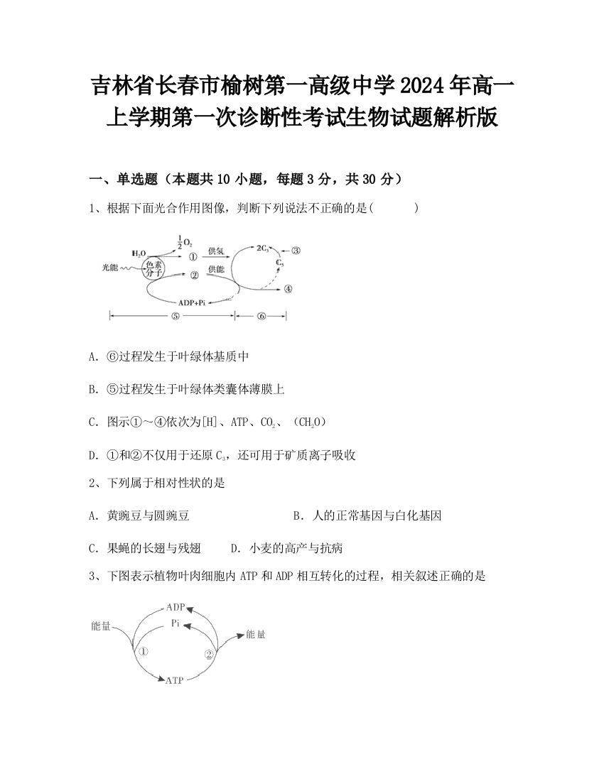 吉林省长春市榆树第一高级中学2024年高一上学期第一次诊断性考试生物试题解析版