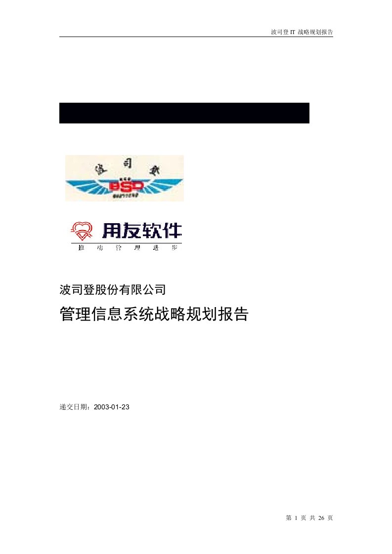 精选波司登IT战略规划