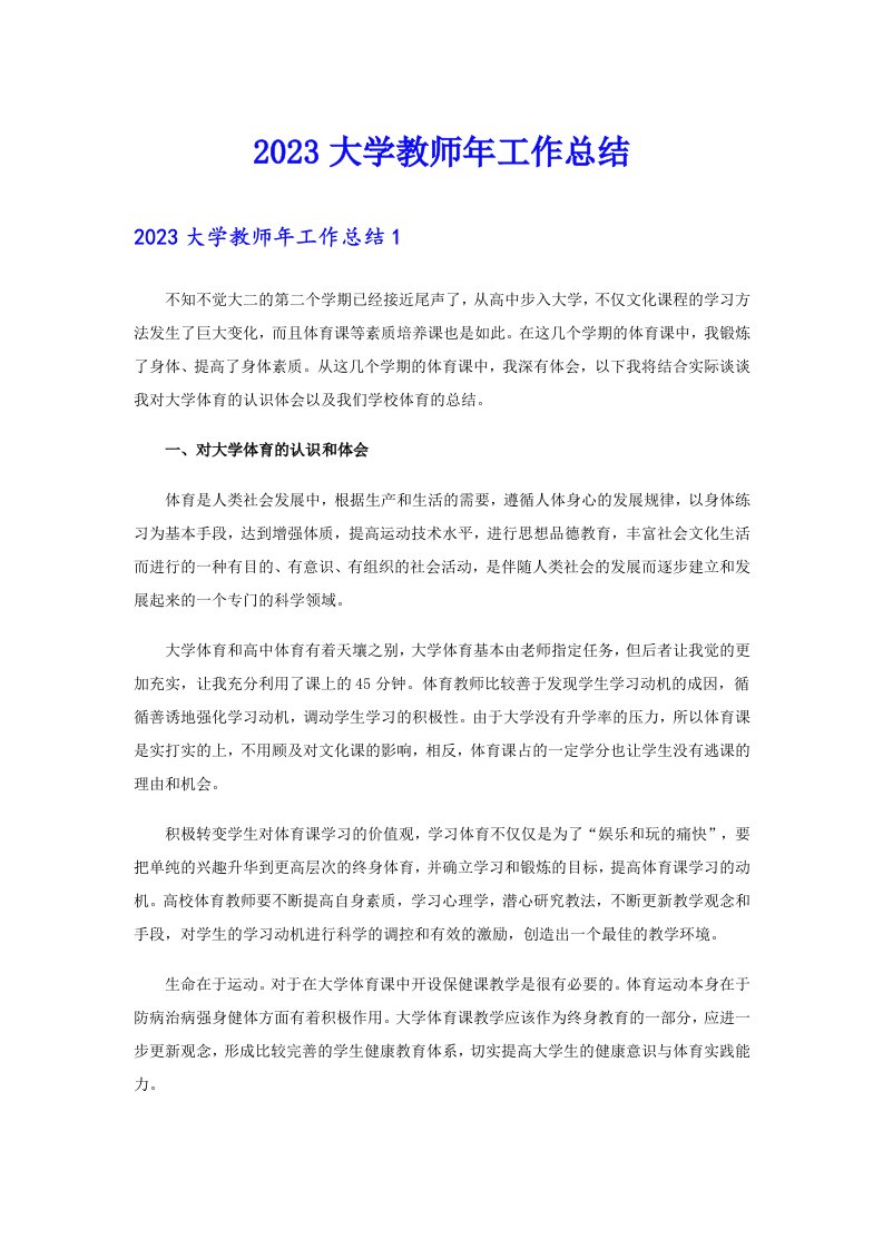 2023大学教师年工作总结