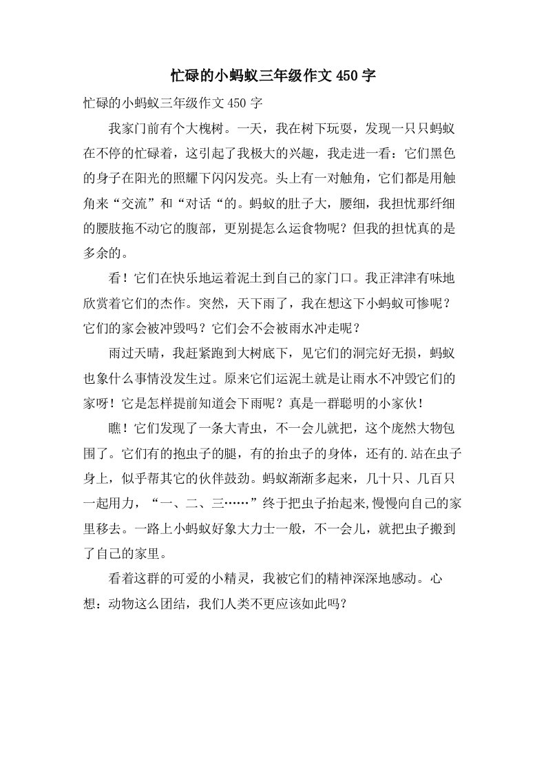 忙碌的小蚂蚁三年级作文450字