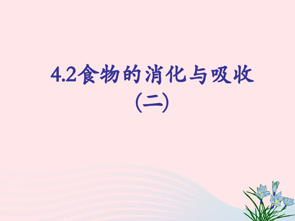 九年级科学上册第4章代谢与平衡4.2食物的消化与吸收课件2浙教版