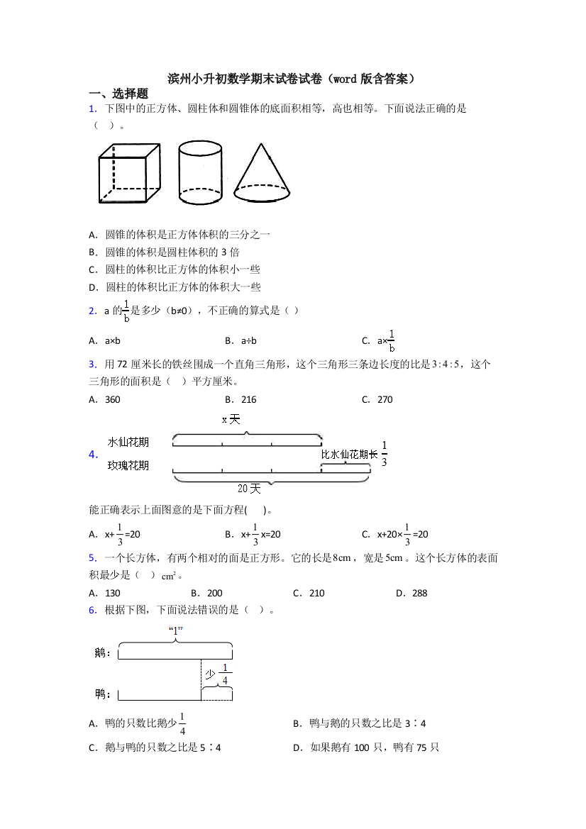 滨州小升初数学期末试卷试卷（word版含答案）