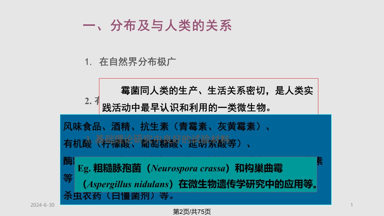 真核微生物霉菌