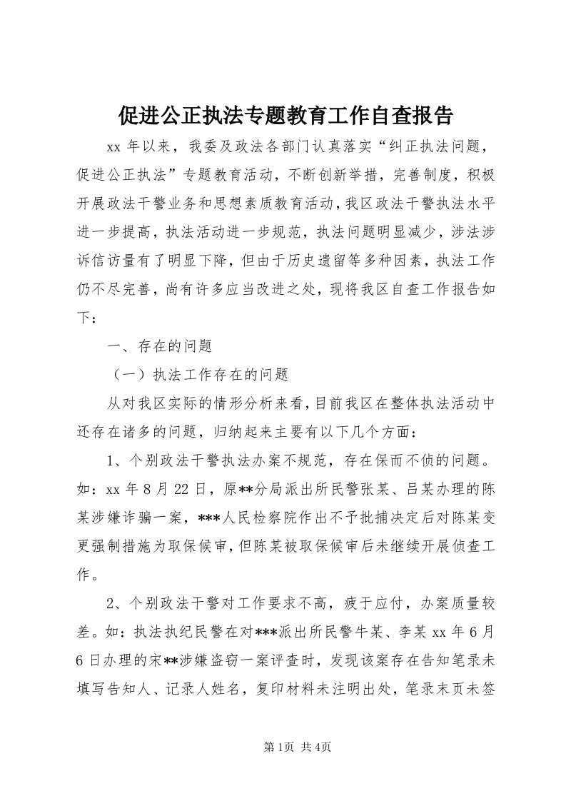 促进公正执法专题教育工作自查报告