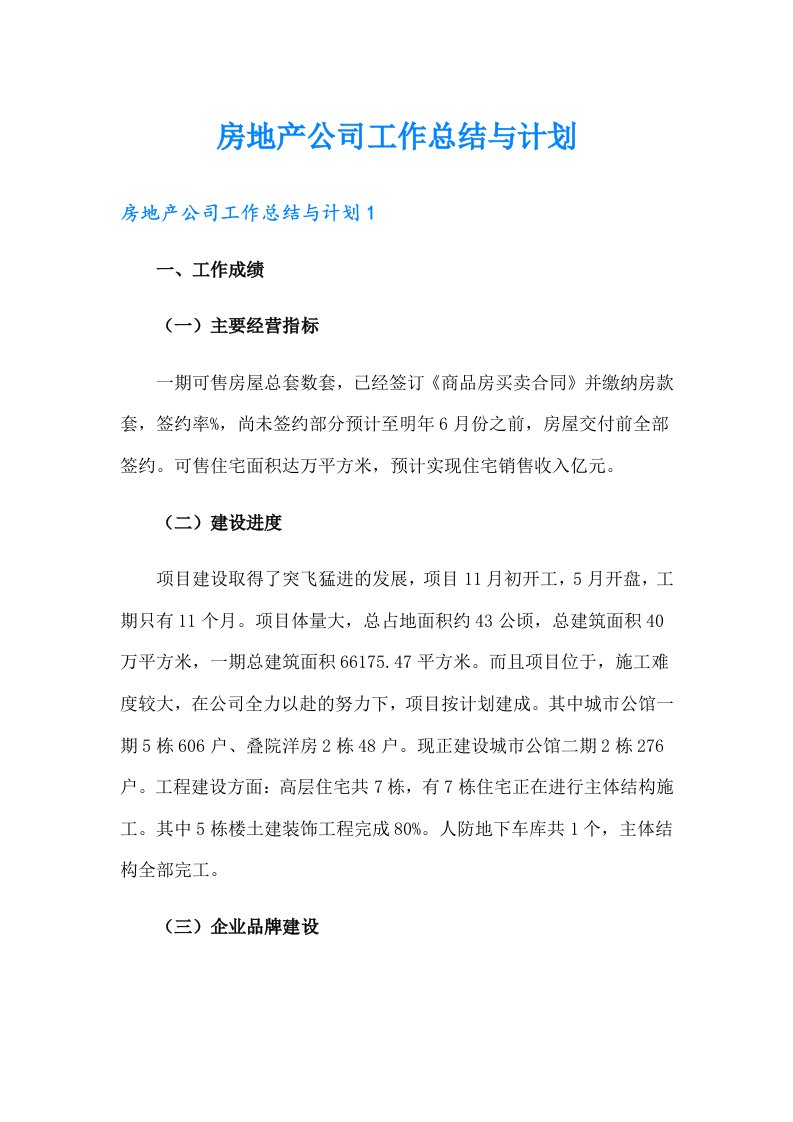 房地产公司工作总结与计划