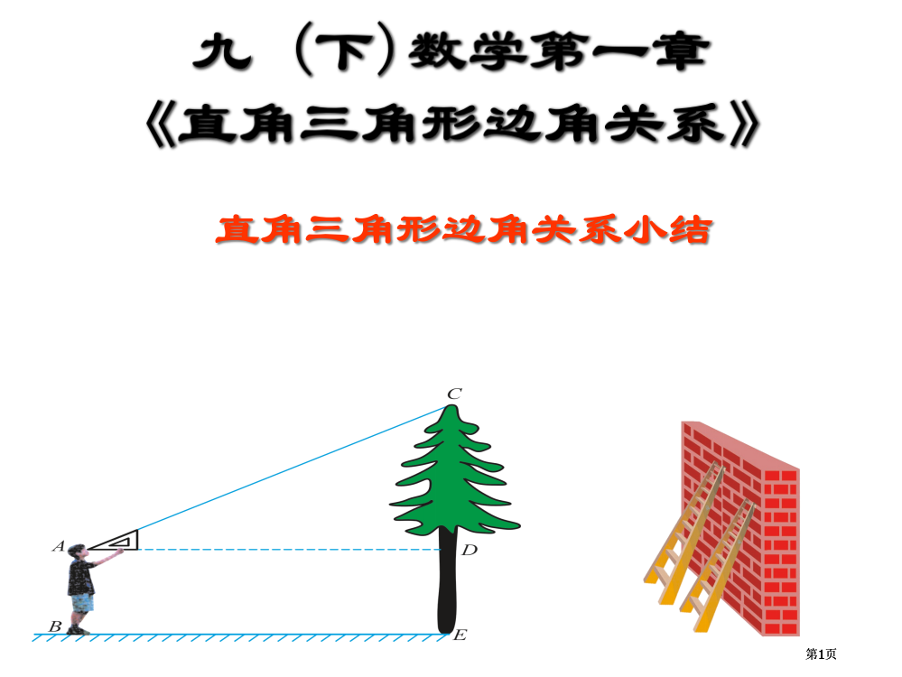 同步九年级数学下册北师大版直角三角形的边角关系复习公开课一等奖优质课大赛微课获奖课件