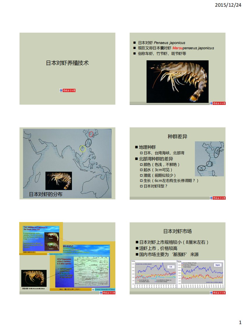 甲壳动物增养殖学2015-2日本对虾养殖（OK）