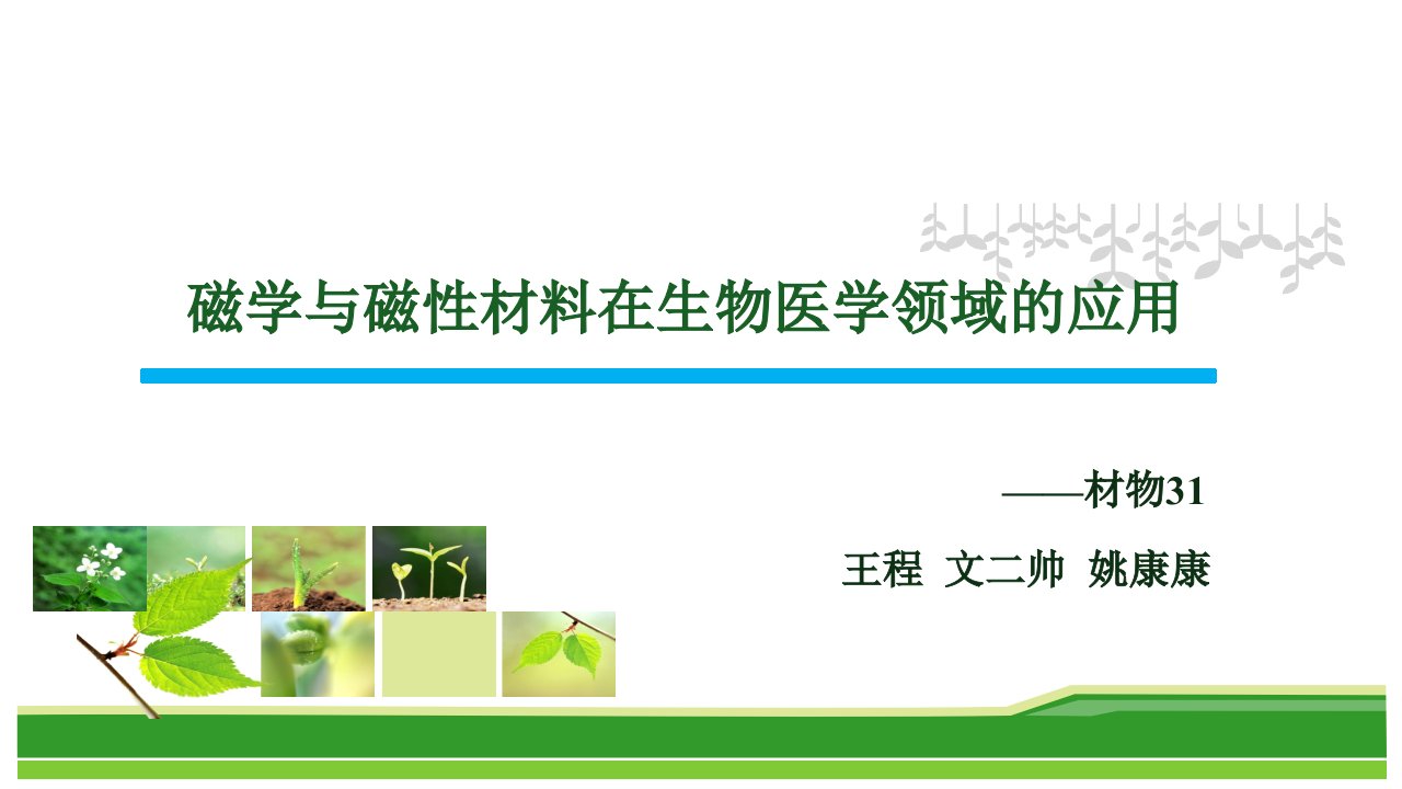 磁学与磁性材料在生物医药方面的应用市公开课一等奖市赛课获奖课件