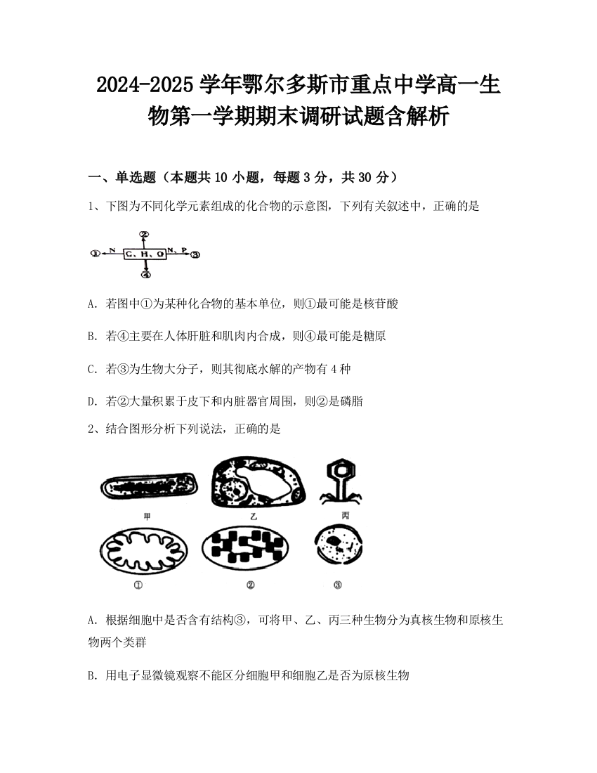 2024-2025学年鄂尔多斯市重点中学高一生物第一学期期末调研试题含解析