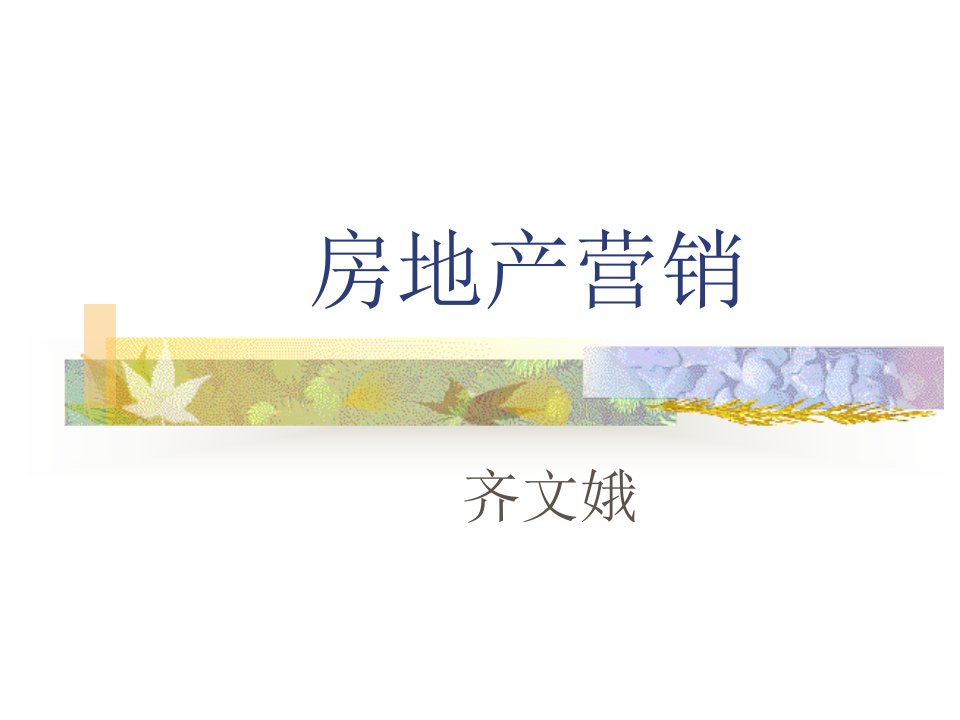 《房产人物传记》PPT课件