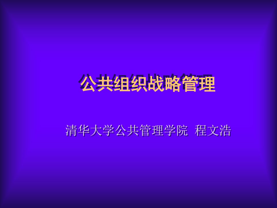 公共组织战略管理