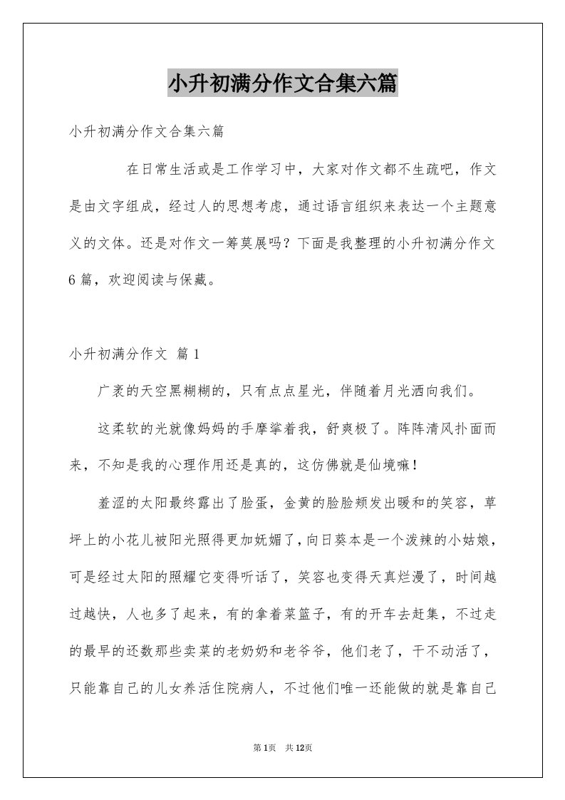 小升初满分作文合集六篇例文