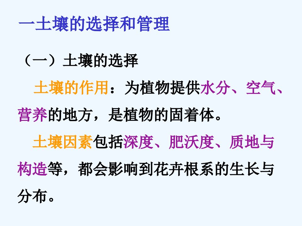 露地花卉的栽培管理措施