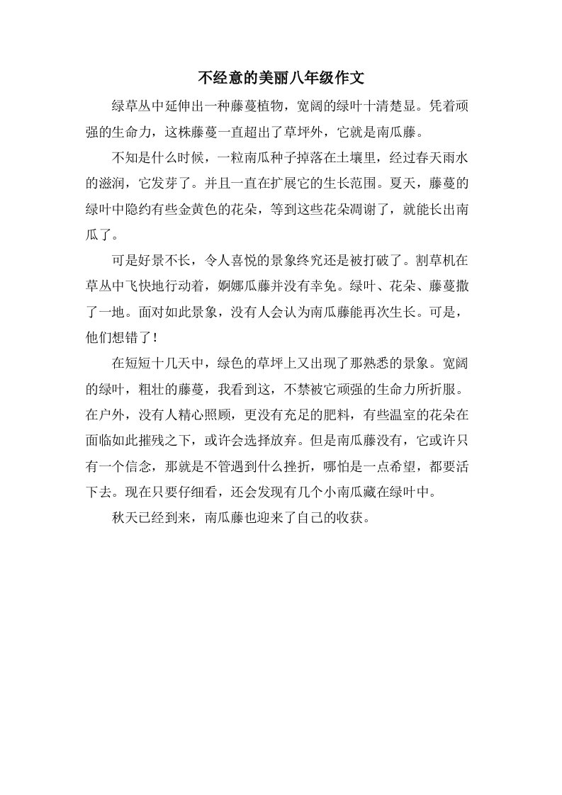 不经意的美丽八年级作文