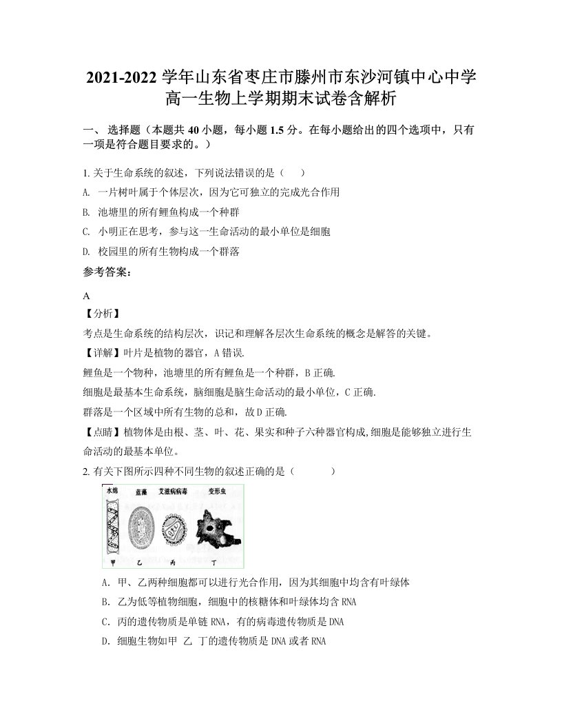 2021-2022学年山东省枣庄市滕州市东沙河镇中心中学高一生物上学期期末试卷含解析