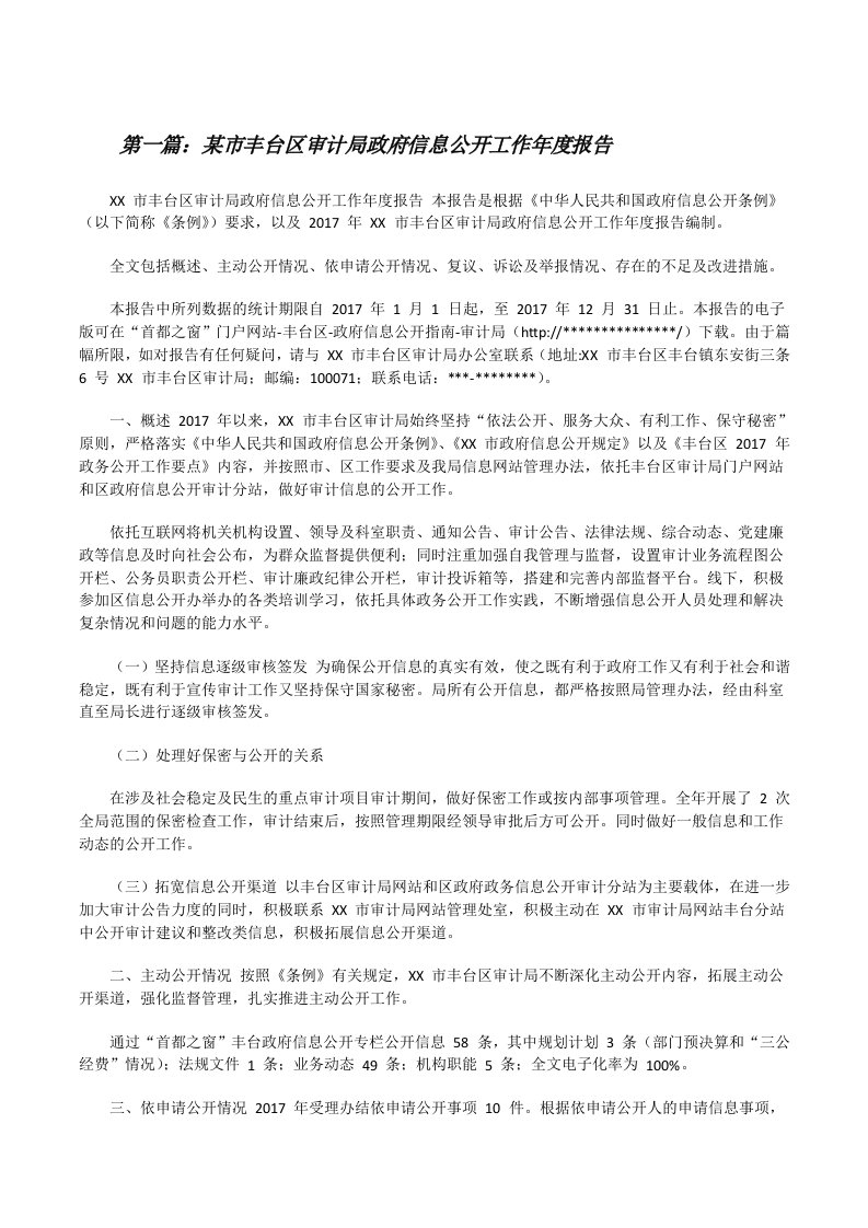 某市丰台区审计局政府信息公开工作年度报告（含5篇）[修改版]