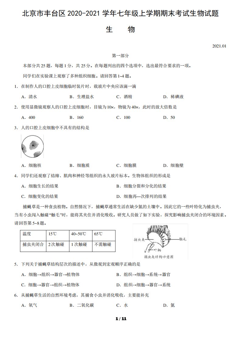 2020-2021学年七年级上学期期末考试生物试题(word版,含答案)