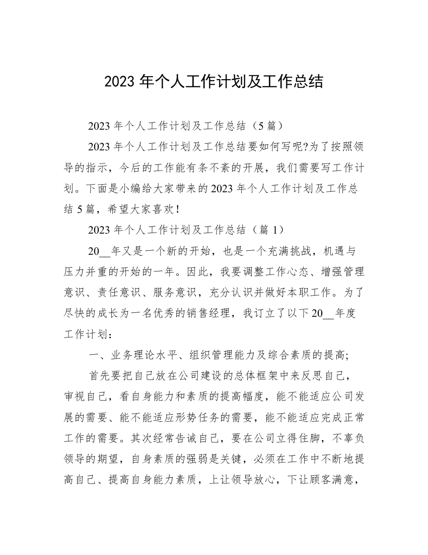 2023年个人工作计划及工作总结