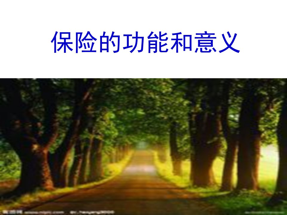 保险的功能和意义(PPT30页)