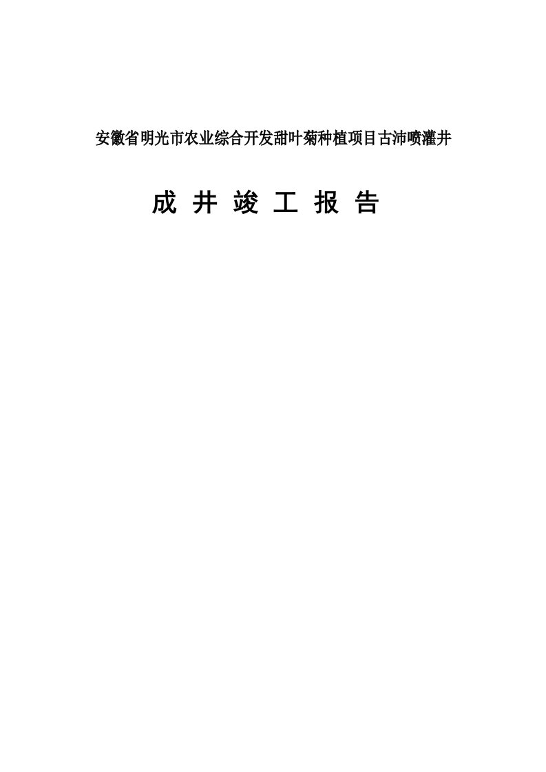 农业综合开发甜叶菊种植项目桥头喷灌井竣工报告