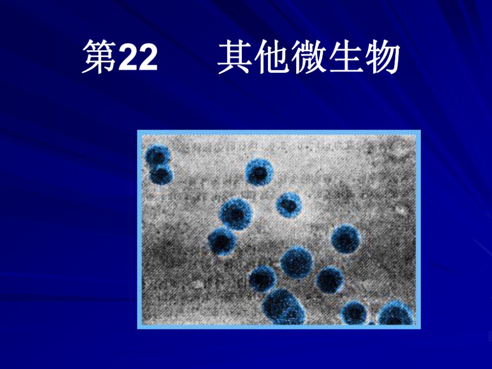 微生物其他原核细胞型微生物.