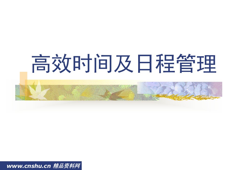 高效时间及日程管理