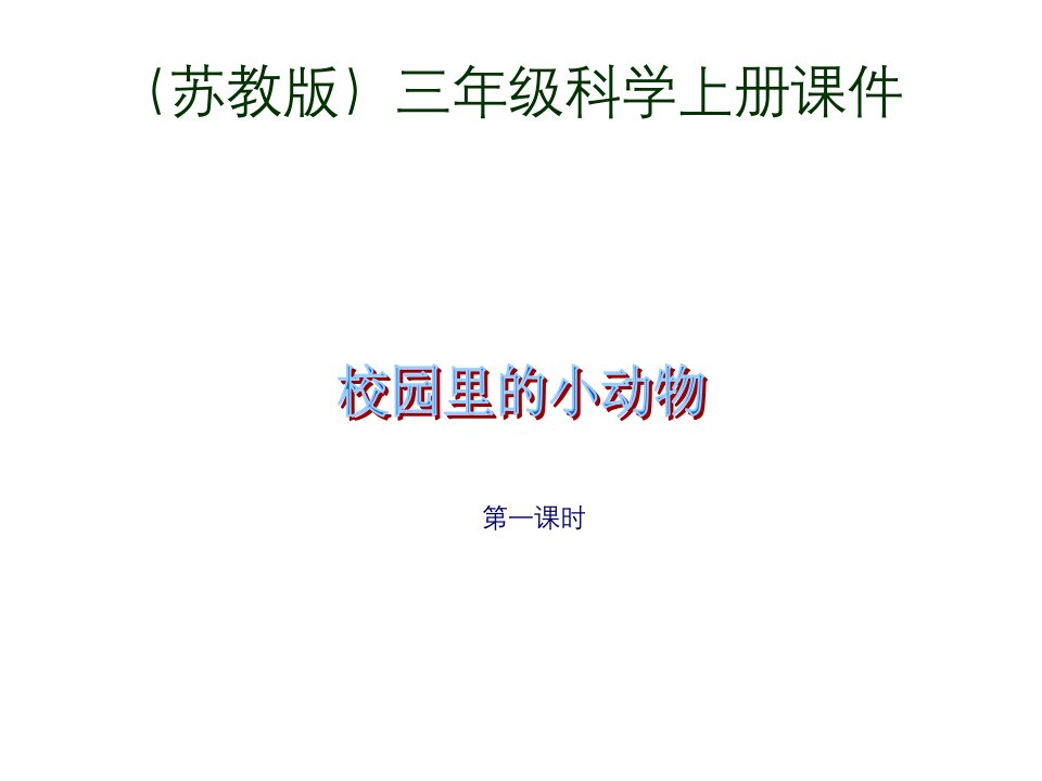 苏教版小学科学三年级上册《校园里的小动物》