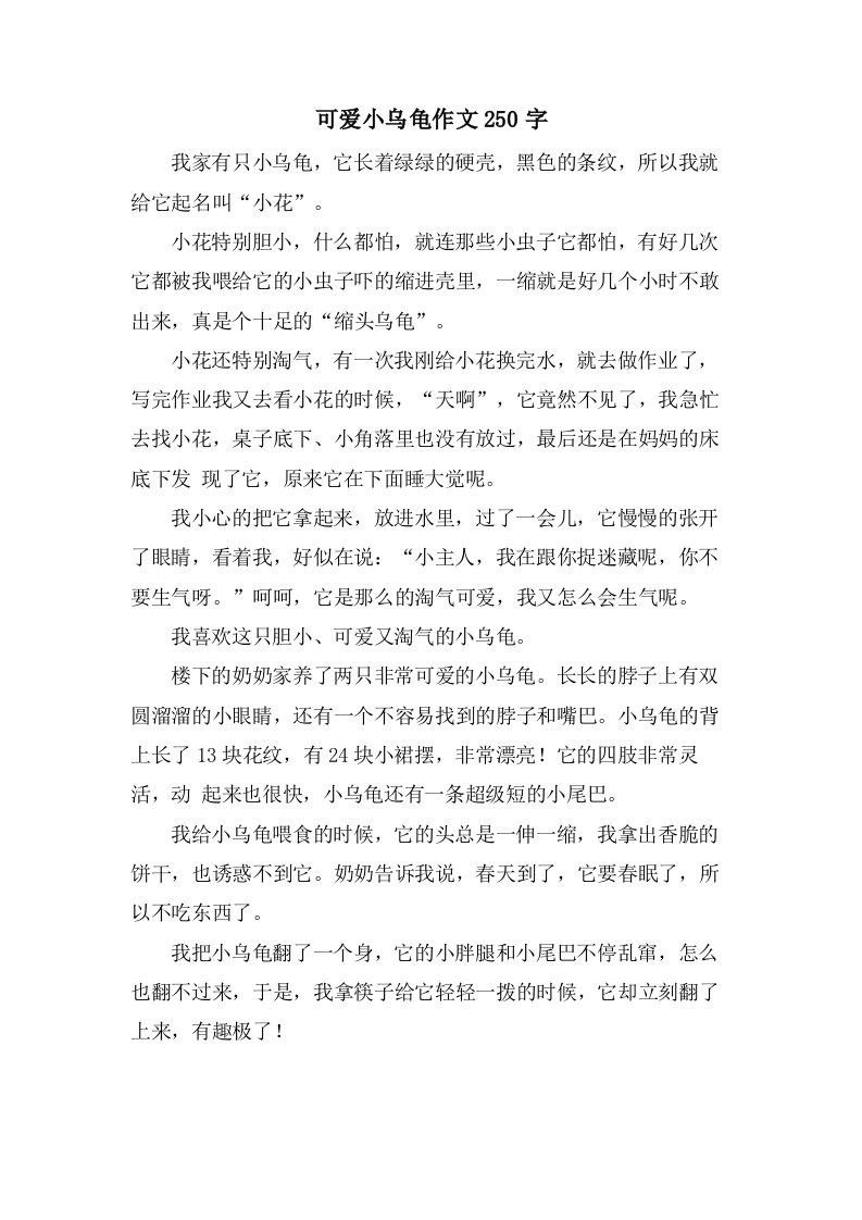 可爱小乌龟作文250字