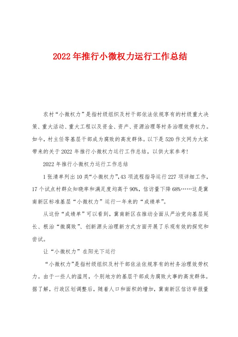 2022年推行小微权力运行工作总结