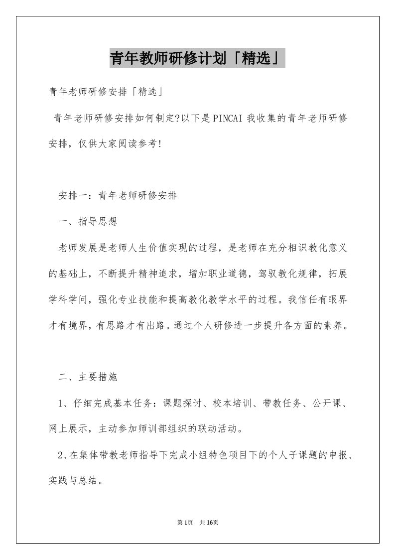 青年教师研修计划精选