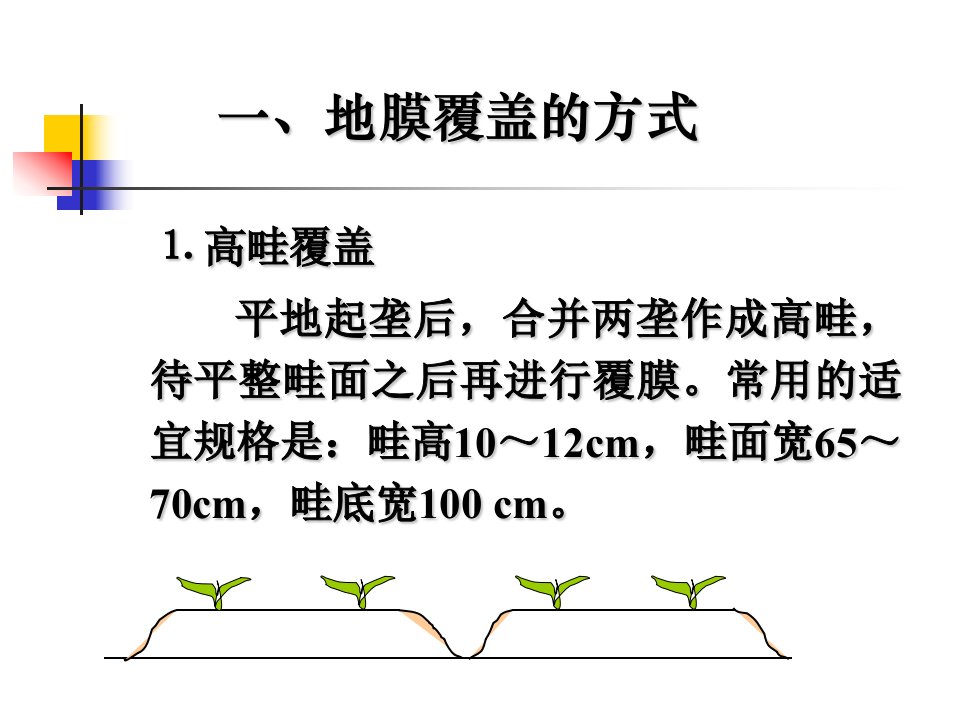 地膜覆盖技术